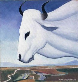 Oxen