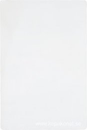 Untitled White Monochrome