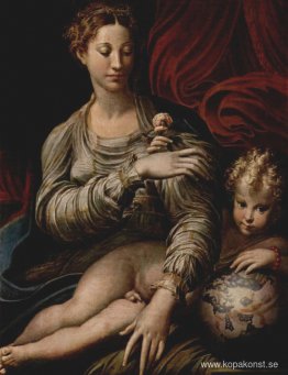 Madonna av rosen