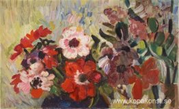Anemoner