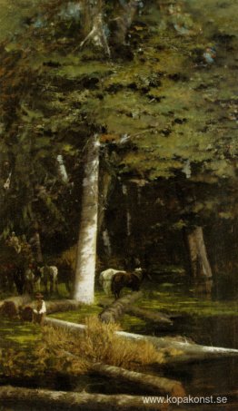 I skogen