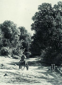 Skog