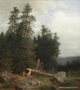I kanten av skogen