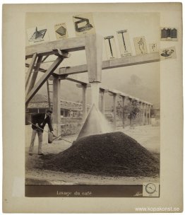 Kaffetvätt