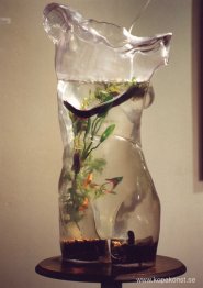 Färgglada fiskar och Comfer Bugs