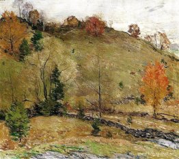 Hillside betesmark