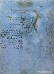 Studie av proportioner