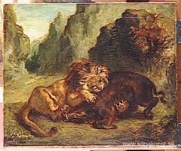 Lejon och galt