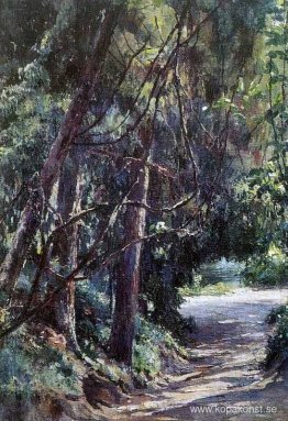 Gamla parken
