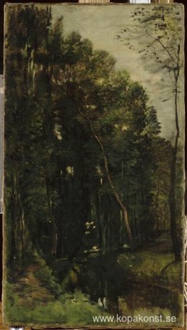 Skogen och bäcken