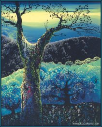 Fruktträdgård i blom