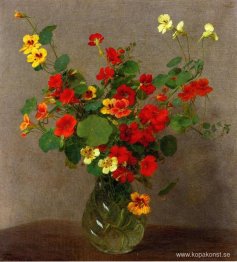 Nasturtiums