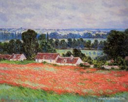 Poppy Field i Giverny