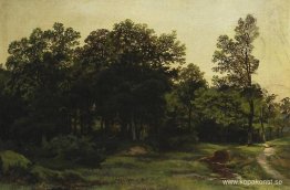 Lövskog