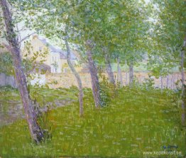 Trädgård vid huset