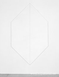 Namnlös (White Hexagon)