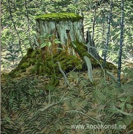 Stubbe och ormbunkar