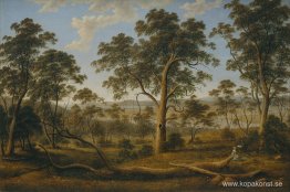 Launceston och floden Tamar