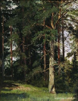 Skog
