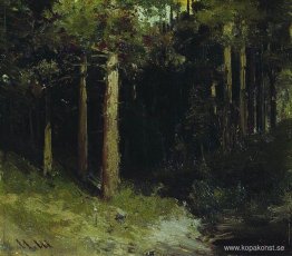 Skog