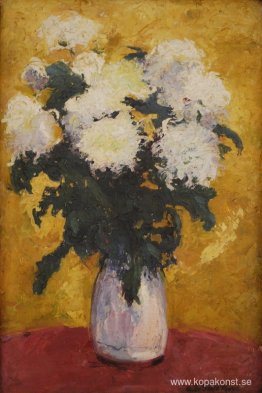 Krysantemum
