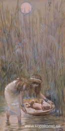 Moses lades bland flaggorna