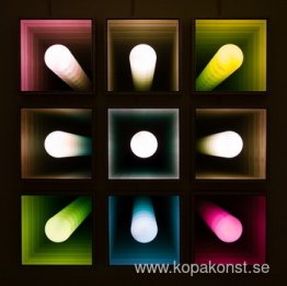 Visual Echo Experiment