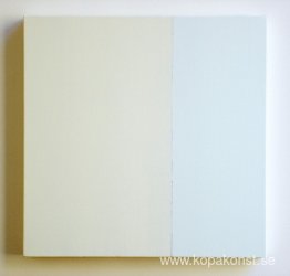 Blek målning: 6 NY 07