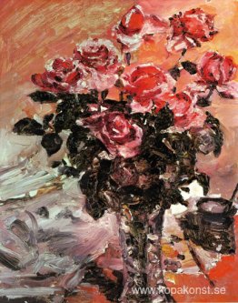 Rosa rosor