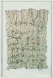 Stor säckvävslänk