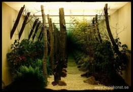 Mu Rung Do Won (Infinite Garden)