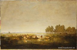 Marshland i Les Landes