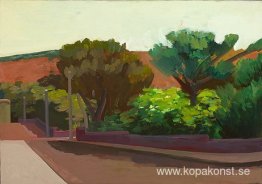 Sonoma landskap
