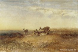 Rådjur i ett landskap