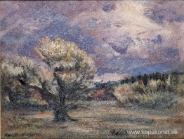 Rosa buske
