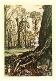 Feer är alla mer eller mindre gömda fram till skymningen