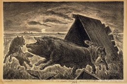 Coyotes som stjäl en gris