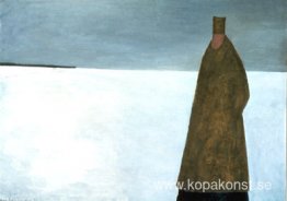 Kvällsbesökare