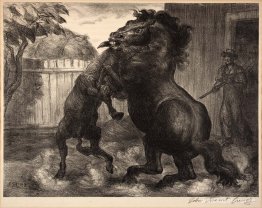 Stallion och Jack Fighting