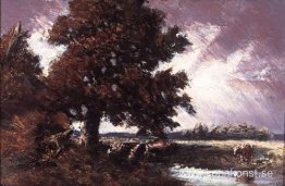 Studie för Red Oak