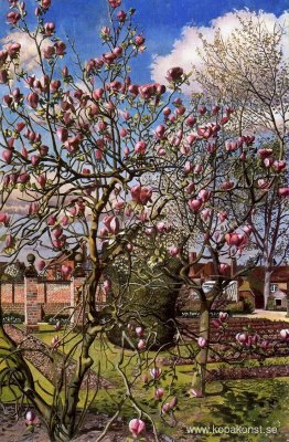 Landskap med Magnolia