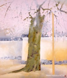 Körsbärsblommor vid Daigo-ji-templet