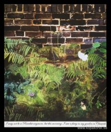 Jag kanske inte är en landsbygdsman längre, men i morse såg jag