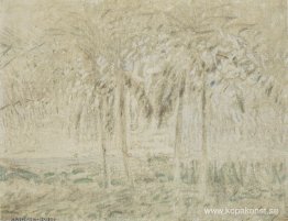 Kokospalmer på stranden