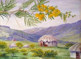 Sydafrikanska Doornboom och Fingo Huts