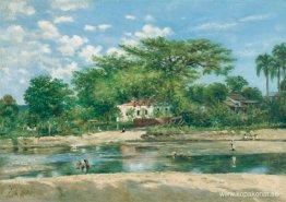 Ponces ceiba