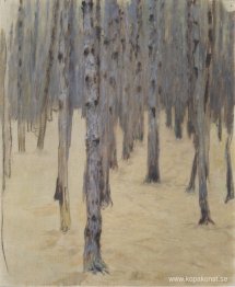 Tallskog på vintern