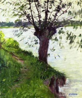 Pil på stranden av Seine