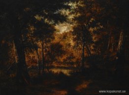 Fairy Pool