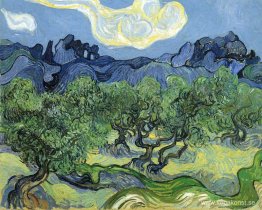 Alpilles med olivträd i förgrunden
